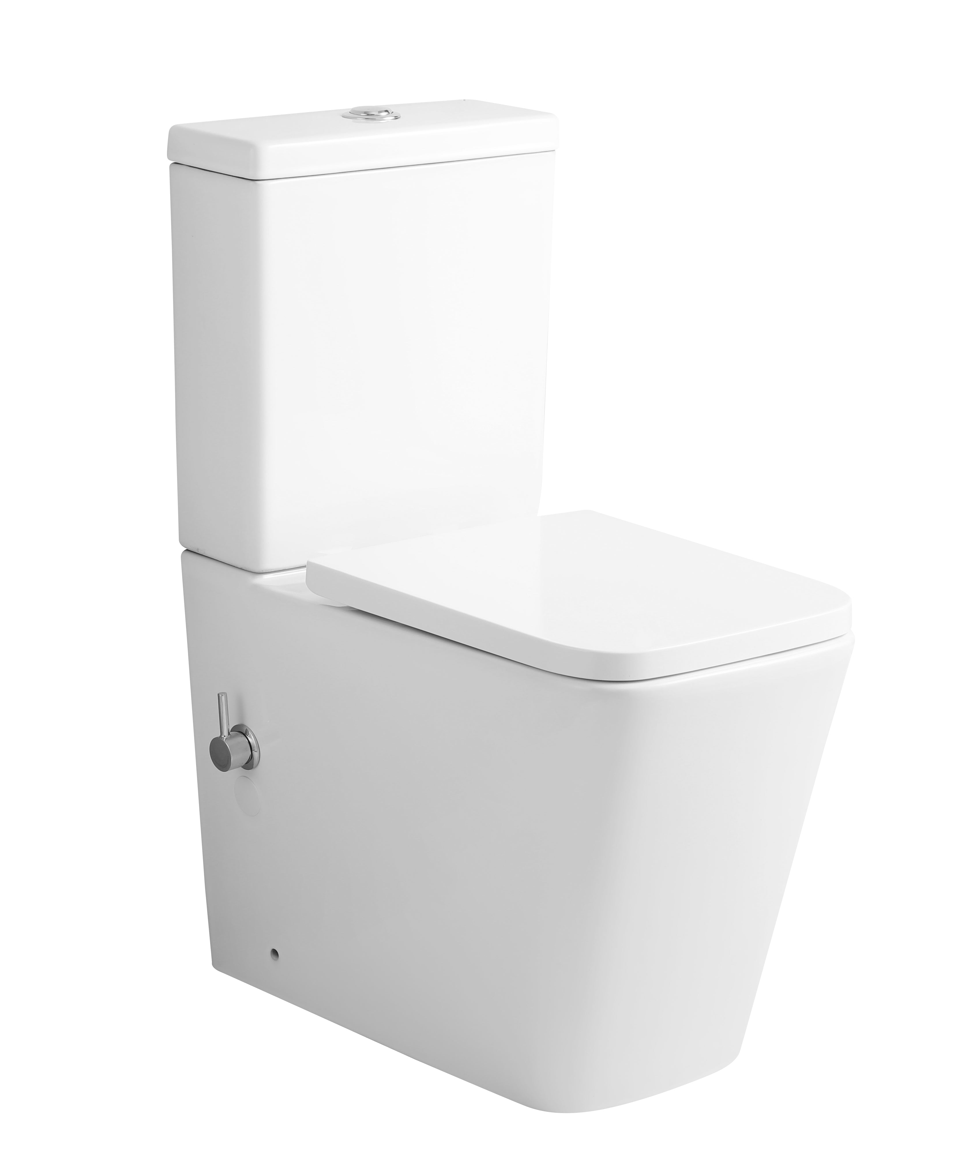 The Pureflow Elevate Built-In Bidet Toilet