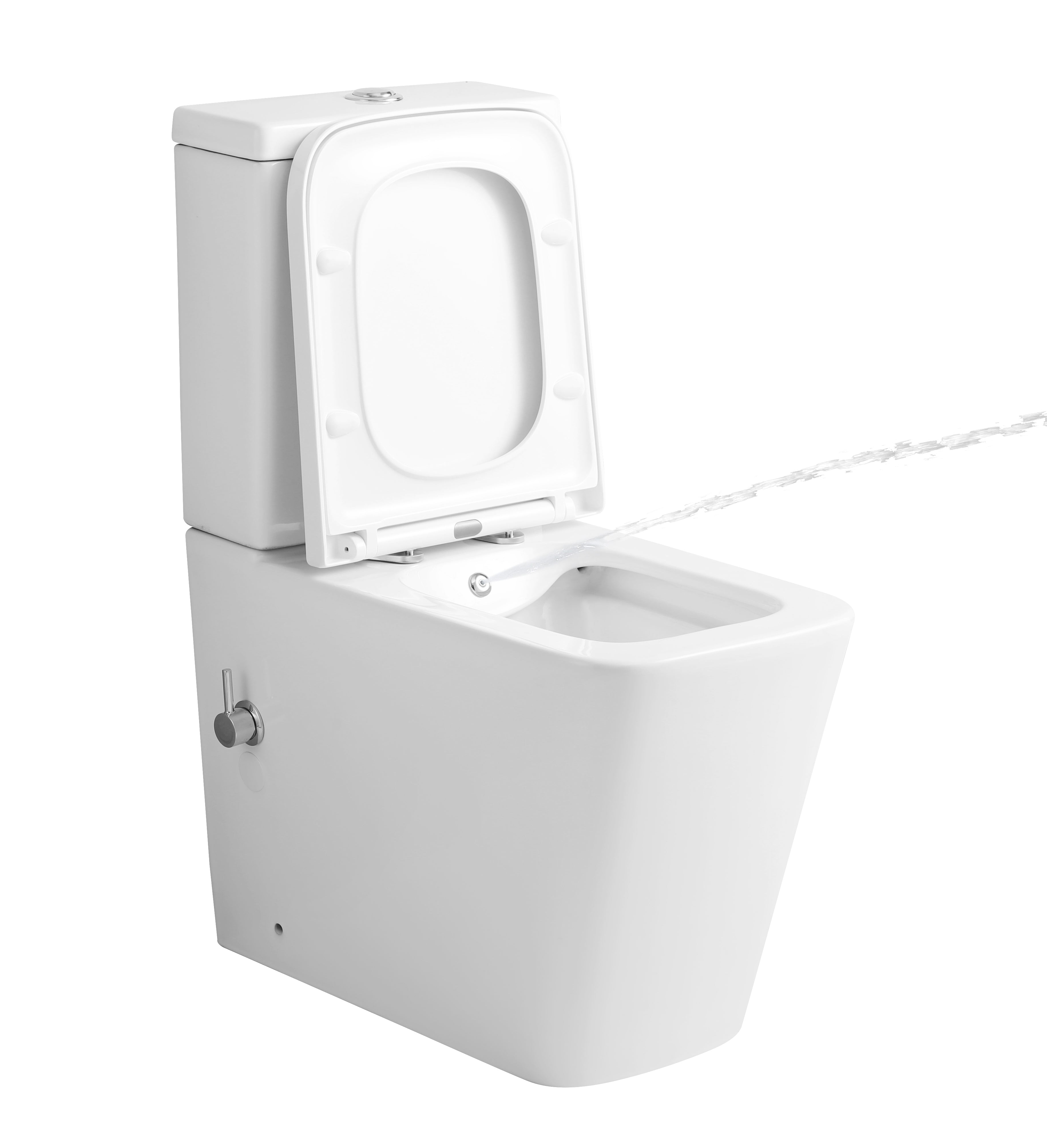 The Pureflow Elevate Built-In Bidet Toilet
